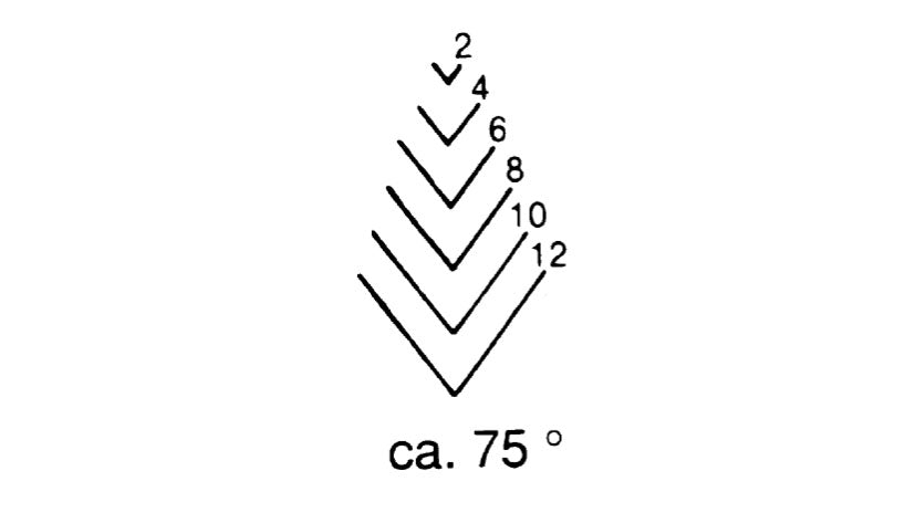 Nr. 5239 Gerader Gaißfuß, Stich 39